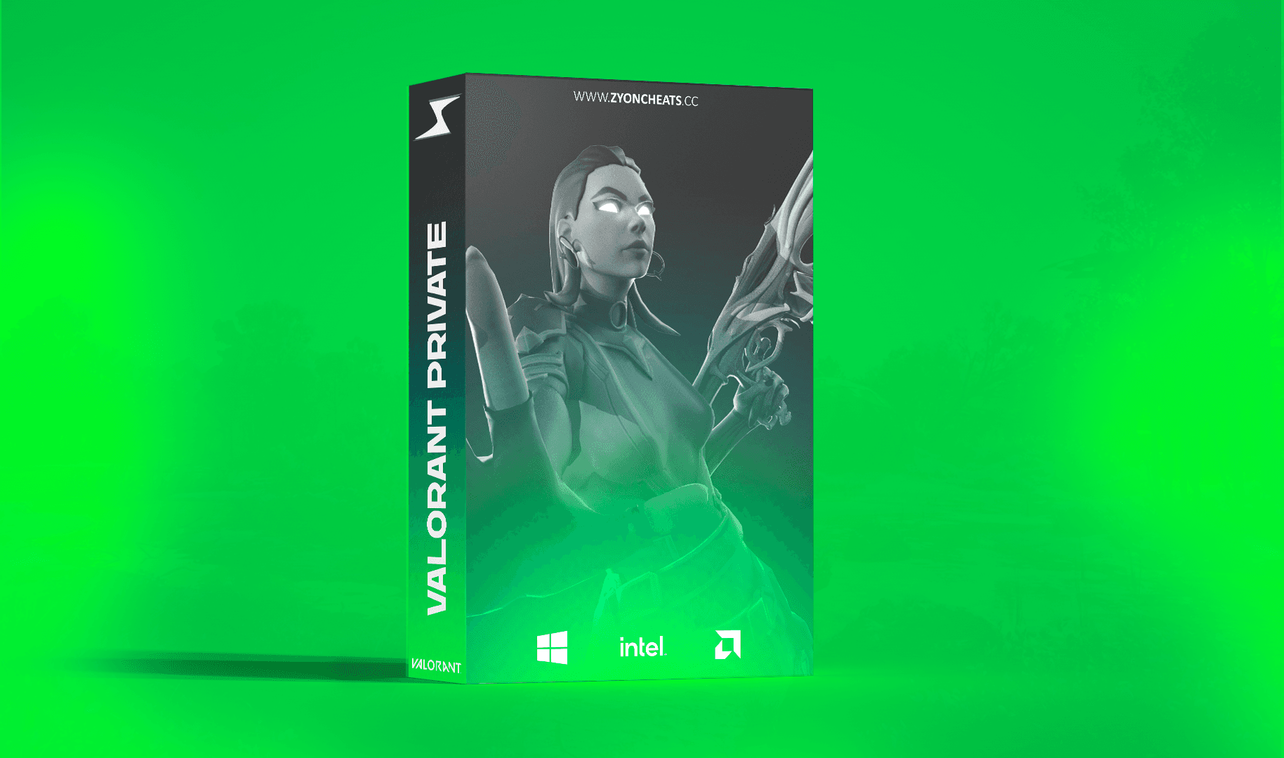 Valorant Private cover art